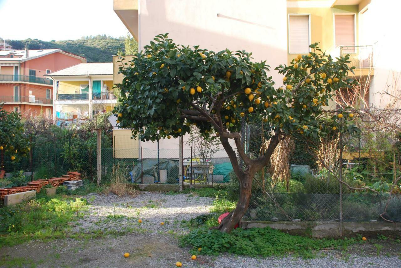 Palmaria Daire Deiva Marina Dış mekan fotoğraf